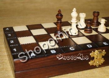 Шахматы школьные 154
